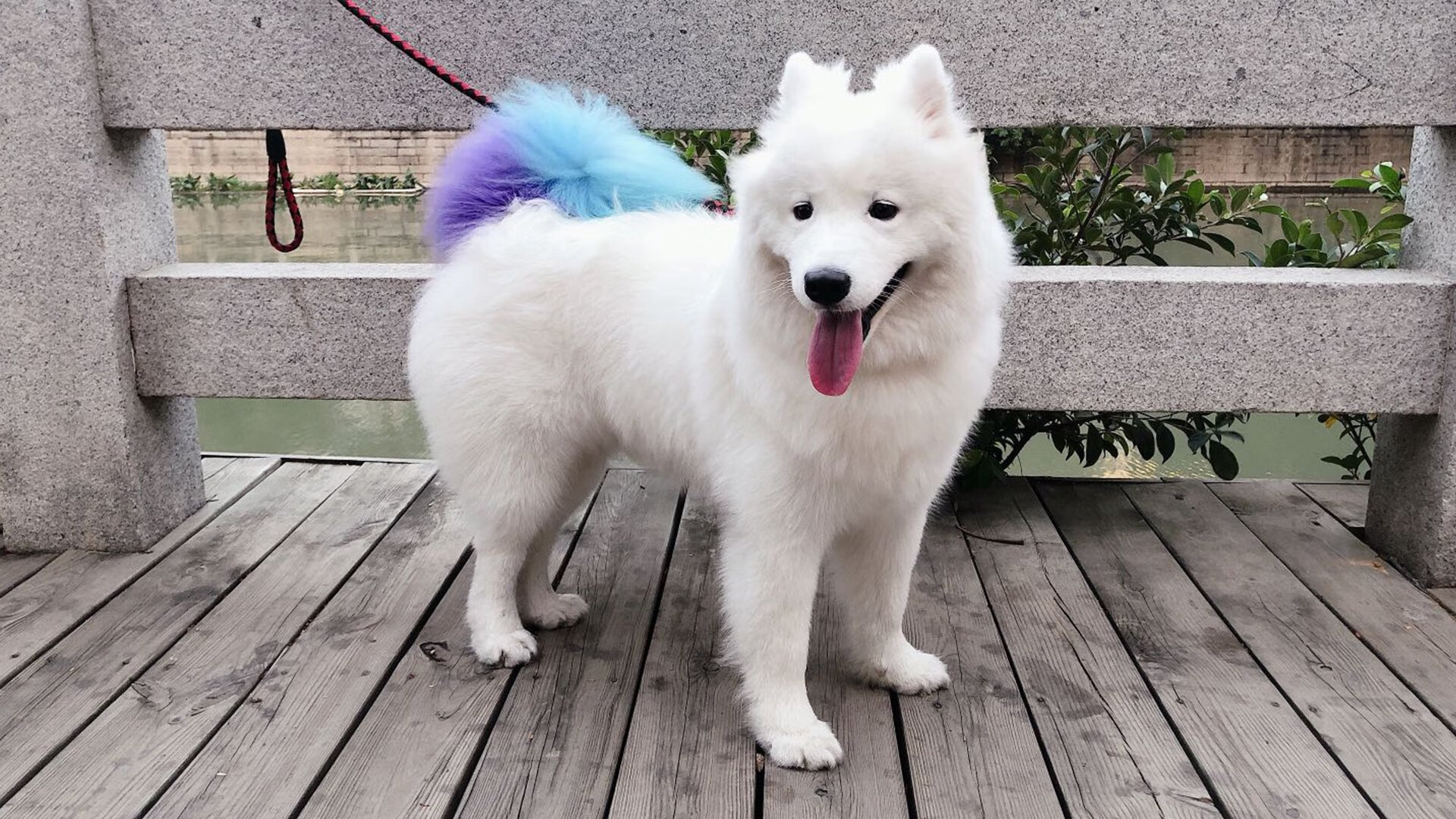 “技术揭秘：三分球迈向未来的变革”，三分球视频教程