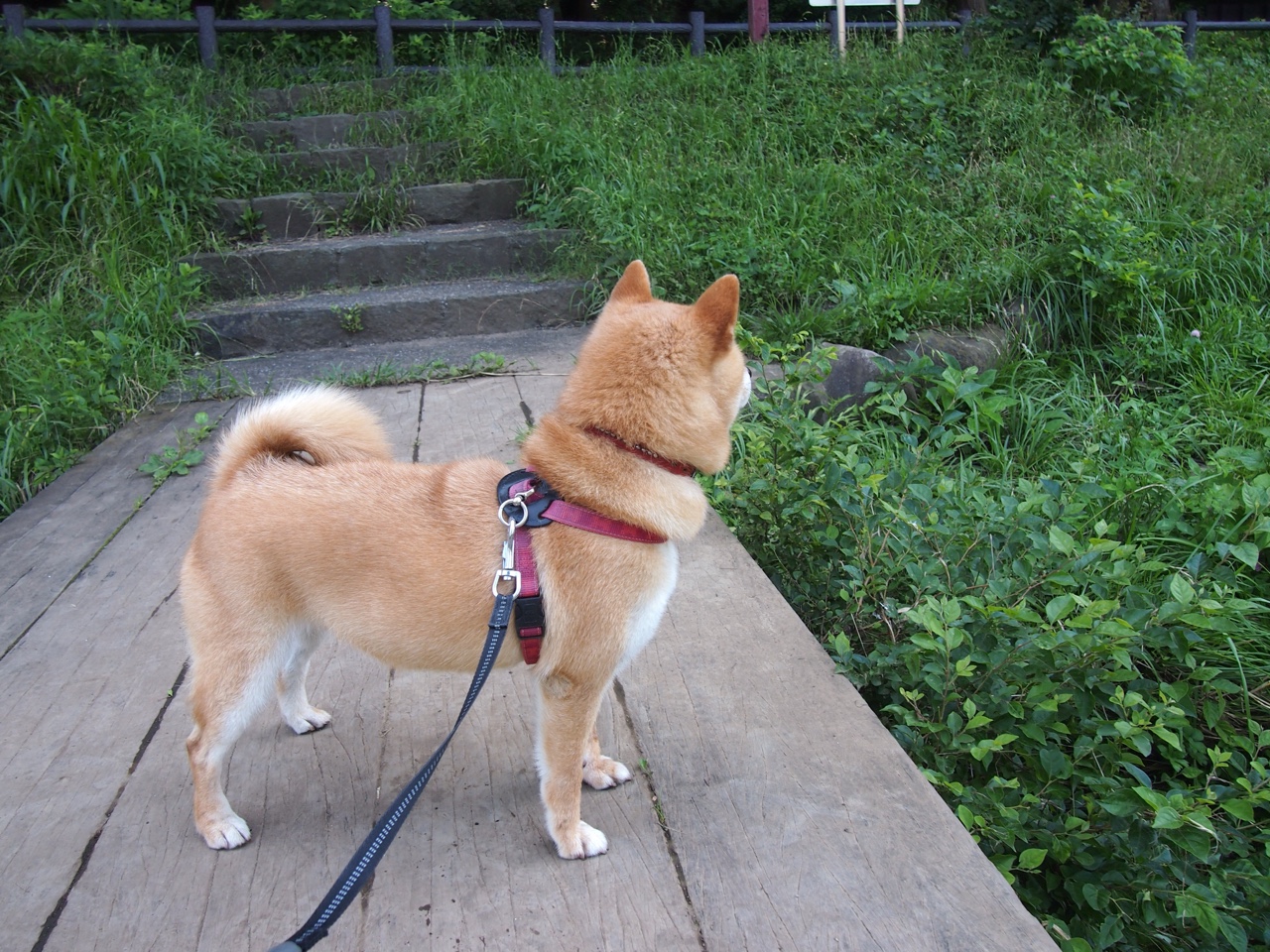 “未来新星：年度潜力排名榜单”，未来潜力新品