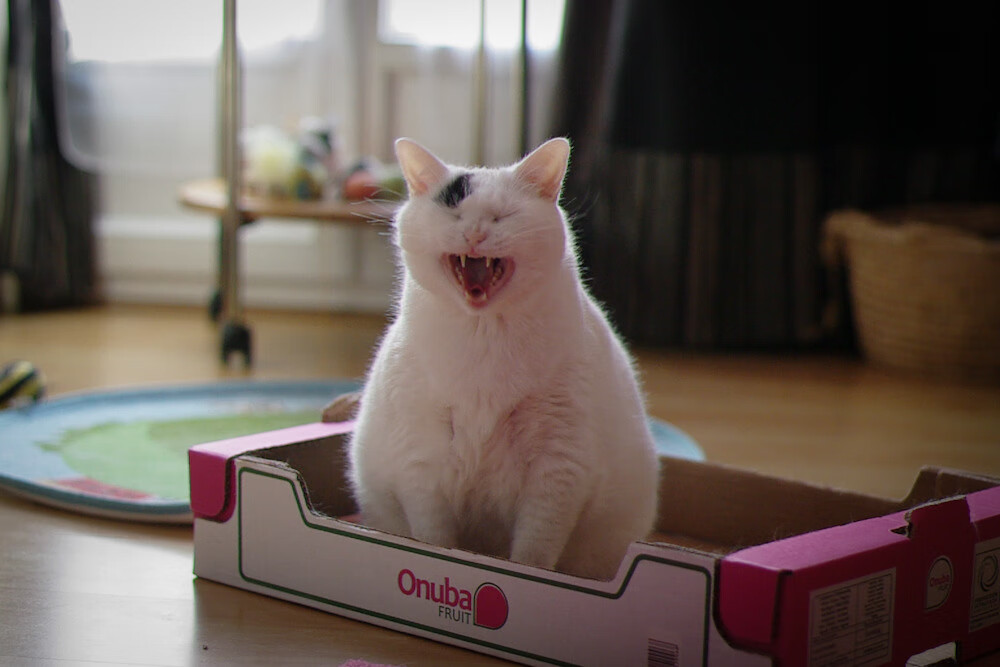 “西甲明星掌控全场，带领球队持续追赶”，西甲明星球员