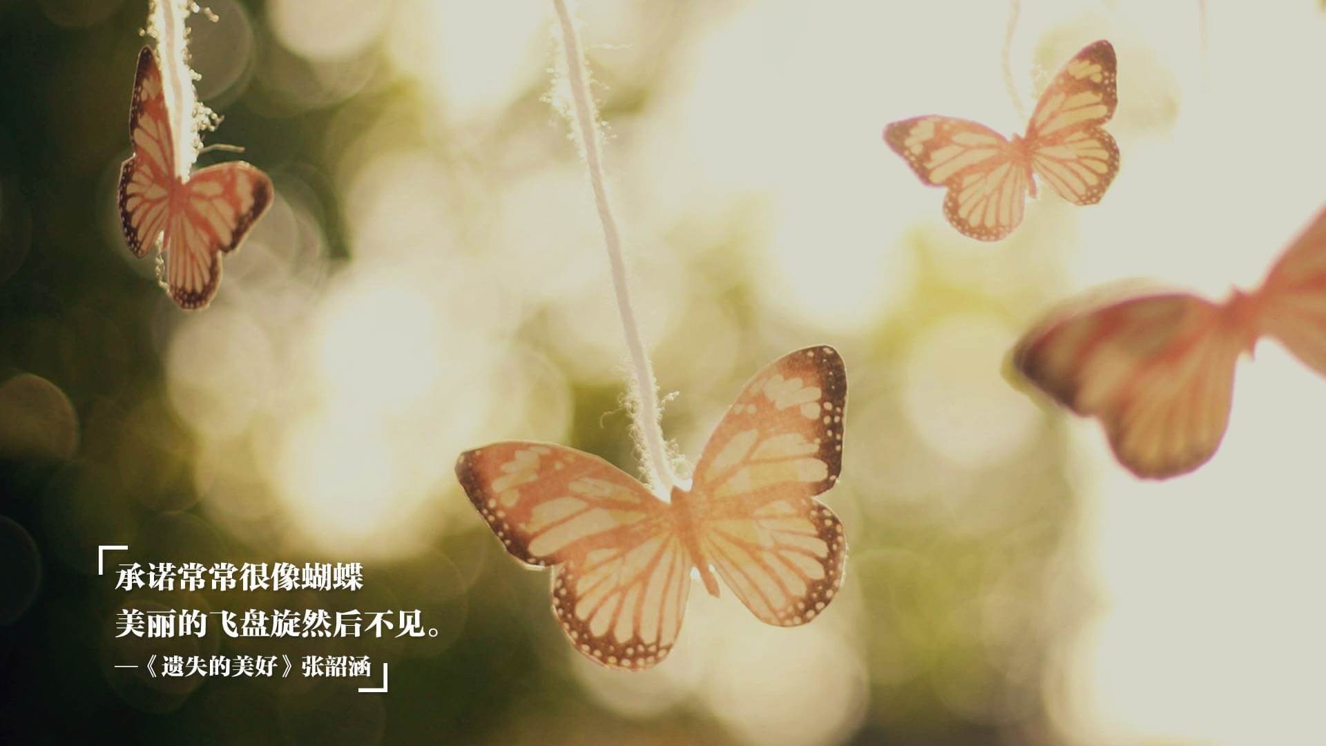 “防守战术完全解析：联盟顶级防线如何布置”，联盟防守效率球队排名