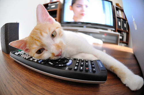 “青春追梦”青少年篮球公益跑在武汉燃情开启，激励青少年勇于追梦