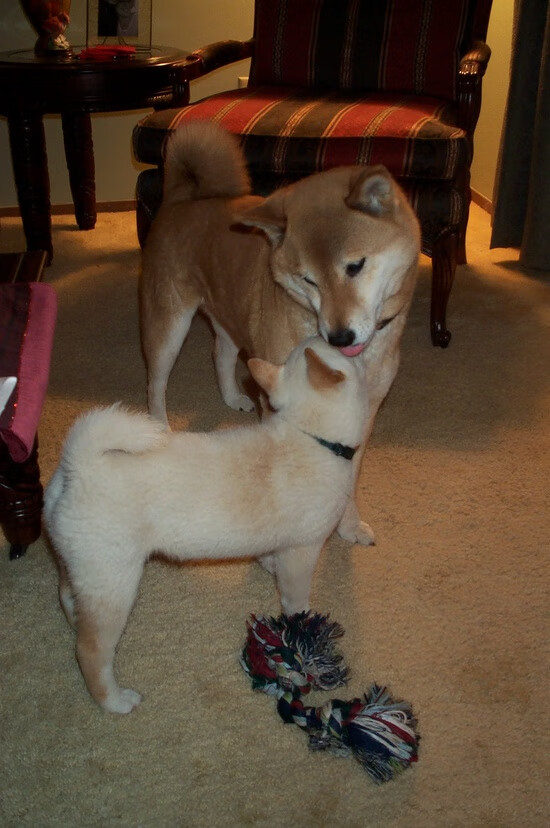 “青春追梦”青少年篮球公益跑在武汉燃情开启，激励青少年勇于追梦