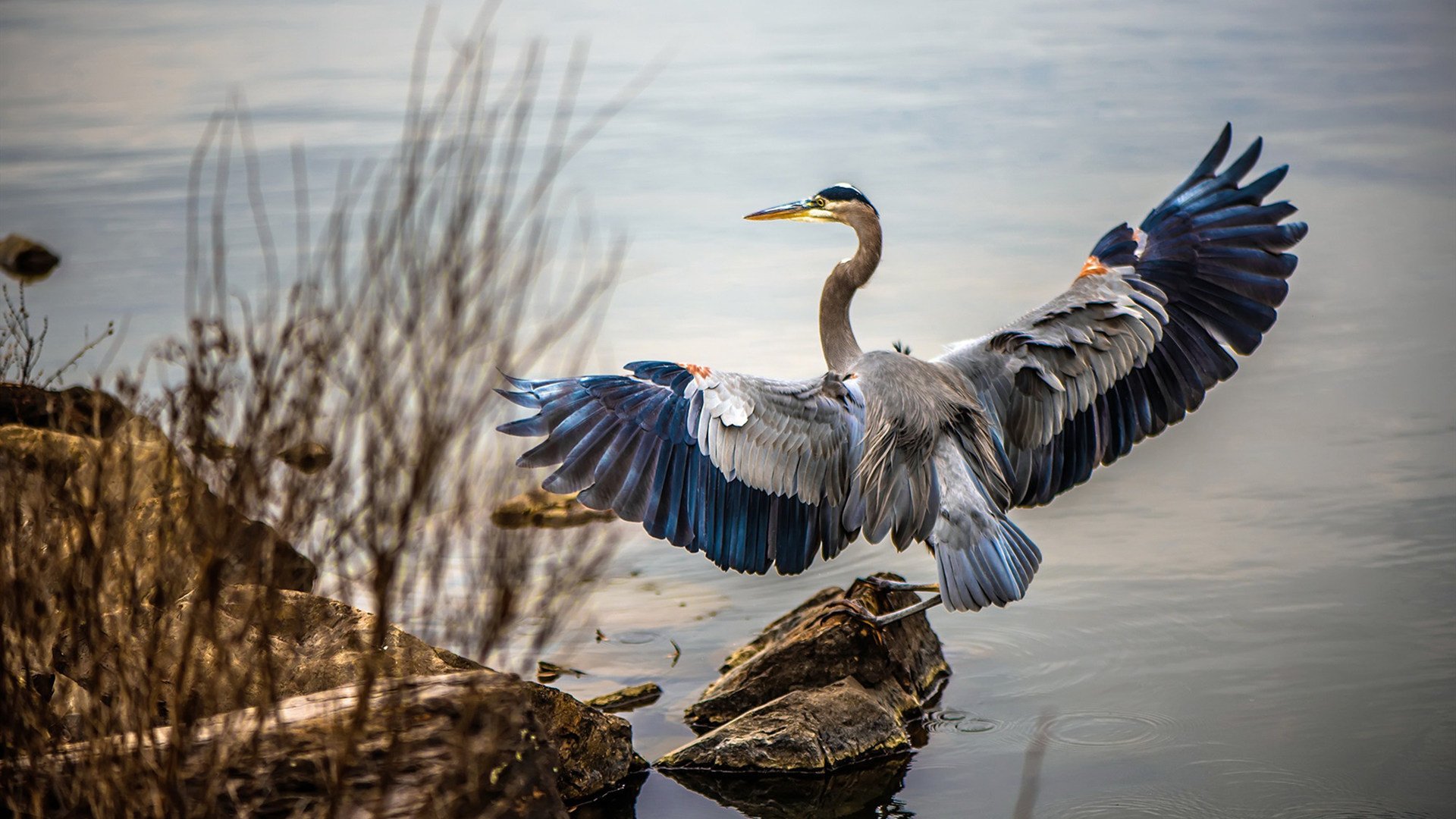 爱游戏中国官方网站平台-《青年电竞文化：从游戏到生活的多层面影响》，电竞 年轻人